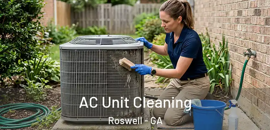 AC Unit Cleaning Roswell - GA